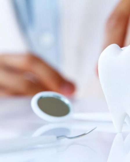 Mengenal Produk Bone Graft dan Batan Bran untuk Optimalkan Regenerasi Tulang